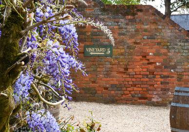 An image of a brick wall with a sign, Public Vineyard & Winery Tasting Tour. Stanlake Park Wine Estate